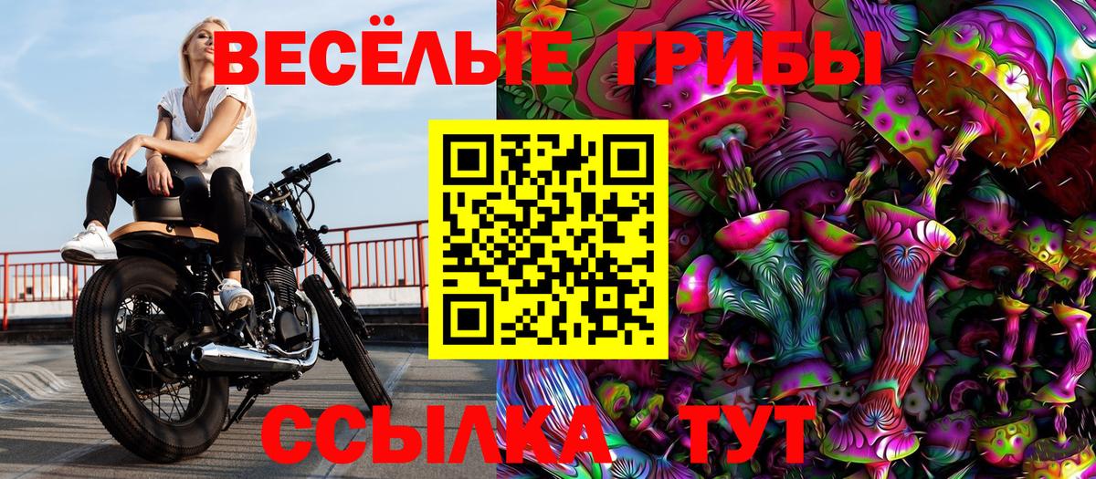 Галлюциногенные грибы GOLDEN TEACHER Крымск
